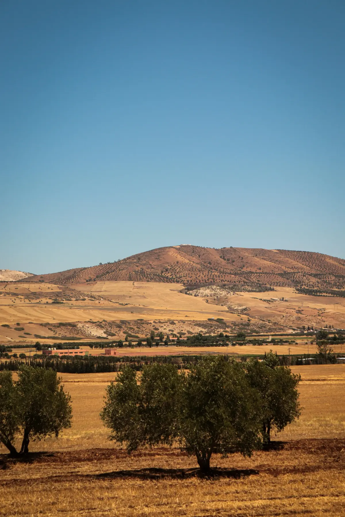 Ourika Valley